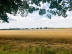 IMG 5932-HDR